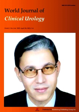 World Journal of Clinical Urology