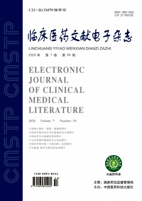 临床医药文献电子杂志