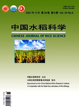 中國水稻科學